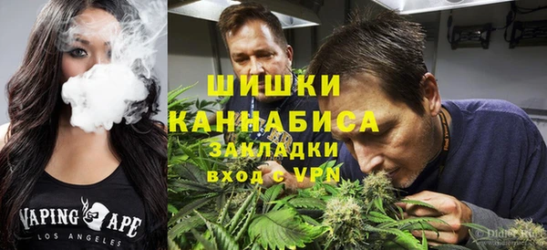 ГАЛЛЮЦИНОГЕННЫЕ ГРИБЫ Нея