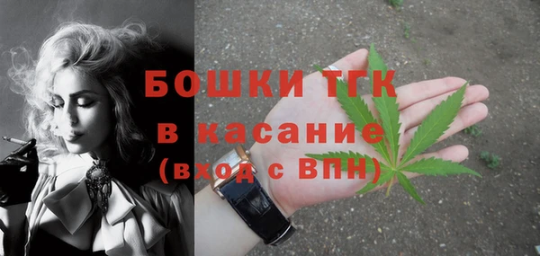 ГАЛЛЮЦИНОГЕННЫЕ ГРИБЫ Нея