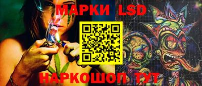 амф Дубна