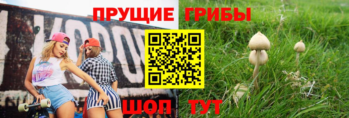 Псилоцибиновые грибы MAGIC MUSHROOMS  Красноармейск 