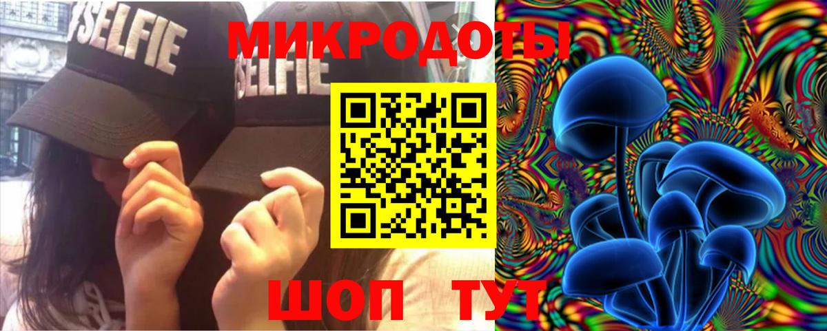 Псилоцибиновые грибы Psilocybe Красноармейск